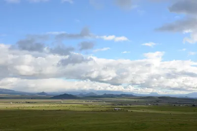 DSC_1045 (Large).JPG